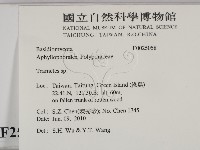 栓菌屬藏品圖，第2張