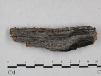 登錄號:F0025059藏品圖，第1張