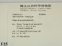 登錄號:F0025060藏品圖，第2張