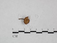 登錄號:F0025060藏品圖，第1張