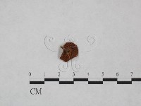 登錄號:F0025060藏品圖，第3張
