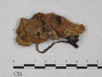 登錄號:F0025063藏品圖，第1張