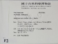 登錄號:F0025066藏品圖，第2張