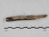 登錄號:F0025068藏品圖，第3張