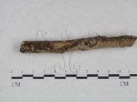 登錄號:F0025068藏品圖，第5張