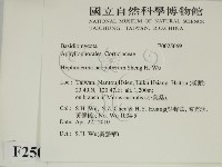 登錄號:F0025069藏品圖，第2張