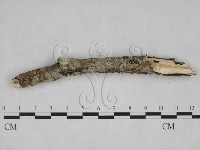 登錄號:F0025069藏品圖，第1張