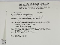 登錄號:F0025070藏品圖，第2張