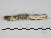 登錄號:F0025073藏品圖，第1張