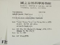 登錄號:F0025074藏品圖，第2張