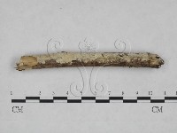 登錄號:F0025074藏品圖，第1張