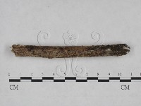 登錄號:F0025074藏品圖，第4張