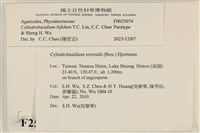 登錄號:F0025074藏品圖，第5張