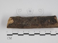 登錄號:F0025075藏品圖，第3張