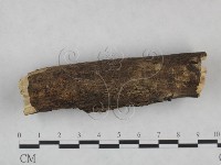 登錄號:F0025075藏品圖，第4張