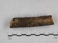 登錄號:F0025077藏品圖，第5張