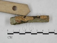 登錄號:F0025078藏品圖，第3張