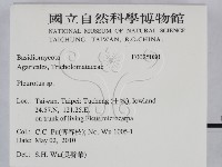 登錄號:F0025080藏品圖，第2張