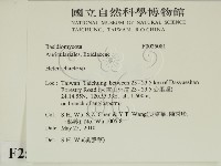 刺皮菌屬藏品圖，第2張