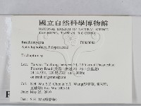 附毛菌屬藏品圖，第2張