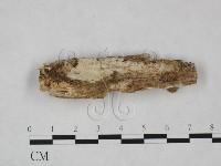 登錄號:F0025083藏品圖，第1張