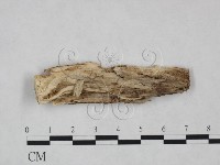 登錄號:F0025083藏品圖，第3張