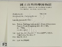 登錄號:F0025084藏品圖，第2張