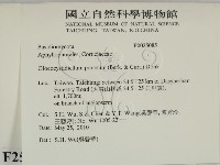 登錄號:F0025085藏品圖，第2張