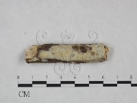 登錄號:F0025085藏品圖，第1張