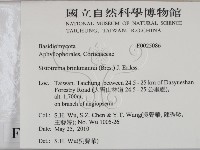 登錄號:F0025086藏品圖，第2張