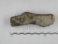 登錄號:F0025086藏品圖，第1張