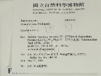 刺皮菌屬藏品圖，第2張