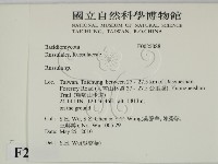 紅菇屬藏品圖，第2張