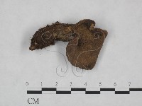 登錄號:F0025091藏品圖，第1張