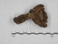 登錄號:F0025092藏品圖，第3張