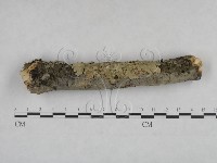 登錄號:F0025094藏品圖，第1張