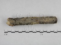 登錄號:F0025094藏品圖，第3張