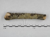 登錄號:F0025094藏品圖，第4張