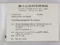 登錄號:F0025095藏品圖，第2張