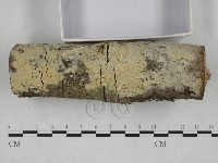 登錄號:F0025095藏品圖，第1張