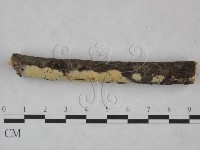 登錄號:F0025096藏品圖，第3張
