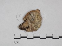 登錄號:F0025097藏品圖，第3張