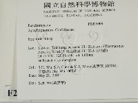 絲皮菌屬藏品圖，第2張