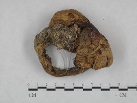 登錄號:F0025100藏品圖，第1張