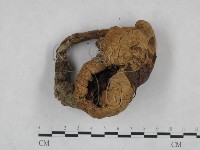 登錄號:F0025100藏品圖，第3張