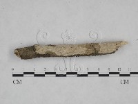登錄號:F0025102藏品圖，第1張