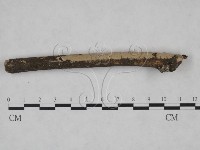 登錄號:F0025103藏品圖，第4張