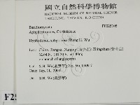 登錄號:F0025105藏品圖，第2張