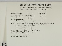 登錄號:F0025106藏品圖，第2張