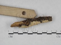登錄號:F0025106藏品圖，第3張